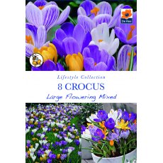 De Rees Crocus Large Flowering Bulbs