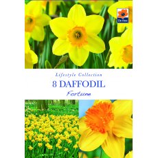 De Rees Daffodil Fortune Bulbs