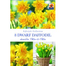 De Rees Daffodil Double Tete a Tete Bulbs