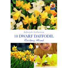 De Rees Dwarf Daffodil Rockery Mixed Bulbs