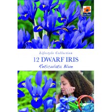 De Rees Dwarf Iris Reticulata Blue Bulbs