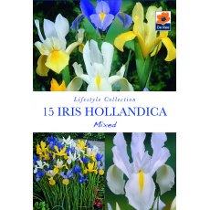 De Rees Iris Hollandica Mixed Bulbs
