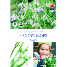 De Rees Snowdrops Single Bulbs