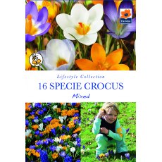 De Rees Specie Crocus Mixed Bulbs