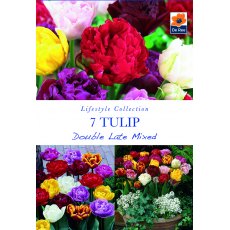 De Rees Tulip Double Late Mixed Bulbs