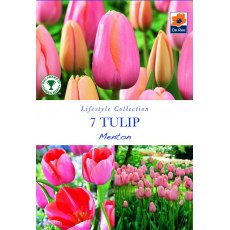De Rees Tulip Menton Single Late Bulbs