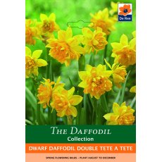 De Rees Daffodil Double Tete a Tete Bulbs