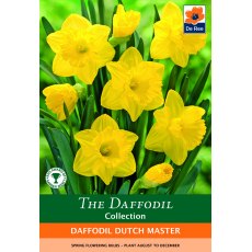 De Rees Daffodil Dutch Master Bulbs