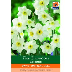 De Rees Dwarf Daffodil Lieke Bulbs