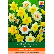 De Rees Daffodil Mixed Bulbs