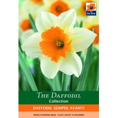 De Rees Daffodil Sempre Avanti Bulbs