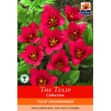 De Rees Tulip Showwinner Bulbs