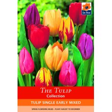 De Rees Tulip Single Early Mix Bulbs
