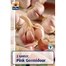 De Rees Garlic Pink Germidour Bulbs
