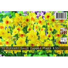 De Rees Daffodil Small Cupped Mix Bulbs