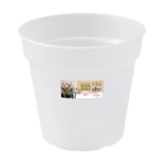 Elho Orchid Pot Transparent