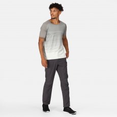 Regatta Highton Trousers Seal Grey