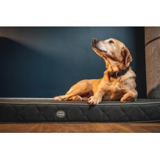 Le Chameau Cushion Dog Bed Vert Chameau
