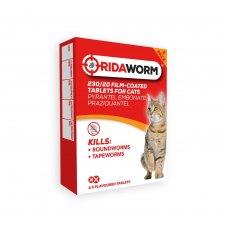 Chanelle Ridaworm Cat Tablets