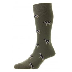 Cotton Rich Cow Sock Olive 6-11