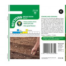 Suttons Express Broad Bean Seeds