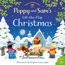 Usborne Lift The Flap Christmas Book