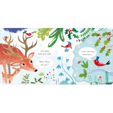 Usborne Lift The Flap Reindeer Hide & Seek Book