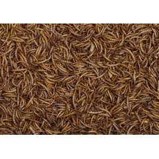 Johnston & Jeff Dried Mealworms EcoBox 1.5kg