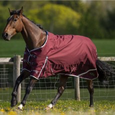 Trojan Xtra 50 Turnout Rug Burgundy