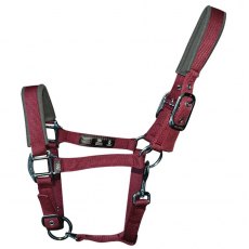 Woof Wear Contour Head Collar Shiraz