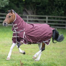 RUG 100G 6'9 BURGUNDY COMBO T/OUT XTRA