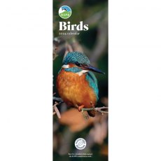 RSPB Birds Calendar