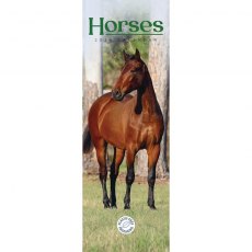 Horses Slim Calendar