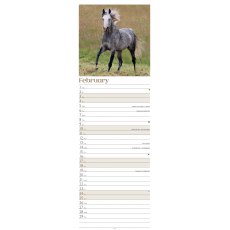 Horses Slim Calendar