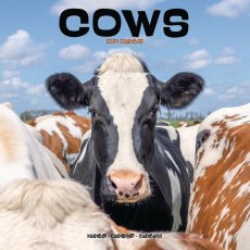 Cows Calendar