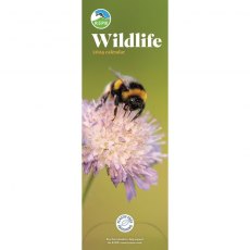 RSPB Wildlife Slim Calendar