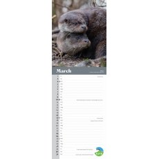 RSPB Wildlife Slim Calendar