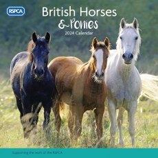 RSPCA Horses & Ponies Calendar