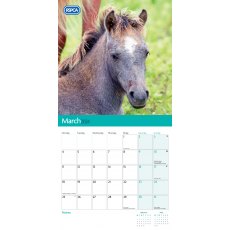 RSPCA Horses & Ponies Calendar