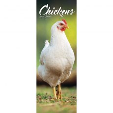 Chickens Calendar