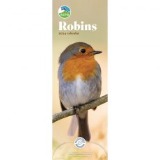 RSPB Robins Slim Calendar