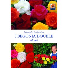 Begonia Double Mixed Bulb
