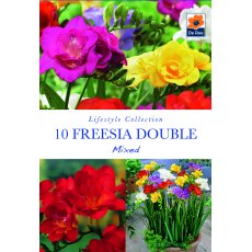 Freesia Double Mixed Bulb