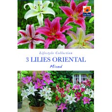 Lilies Oriental Mixed Bulb