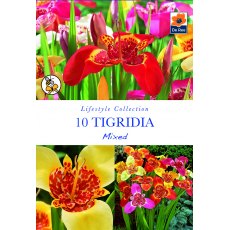 Tigridia Mixed Bulb
