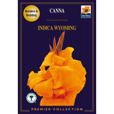 Canna Indica Wyoming Bulb