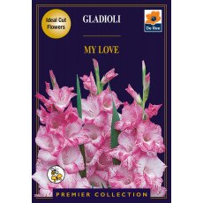 Gladioli My Love Bulb