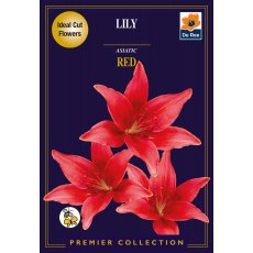 Lily Asiatic Red Bulb