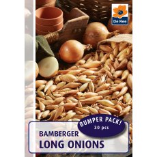 Bamberger Long Onions Bulb