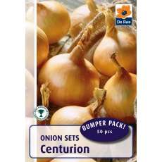 Bulb Centurion Onions